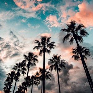 Meet your Posher, Nannn